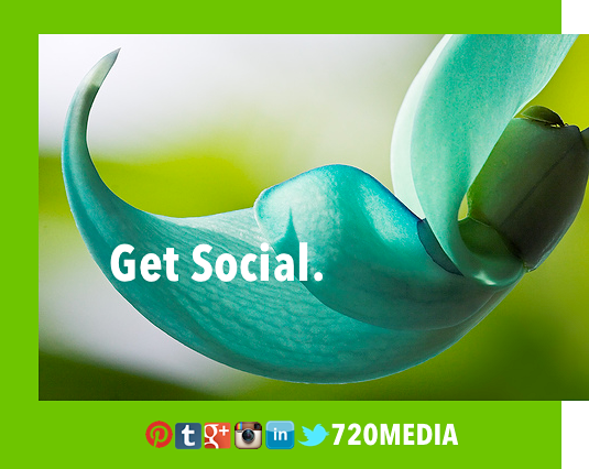 social media monthly maintenance cost consultant cost colorado springs denver